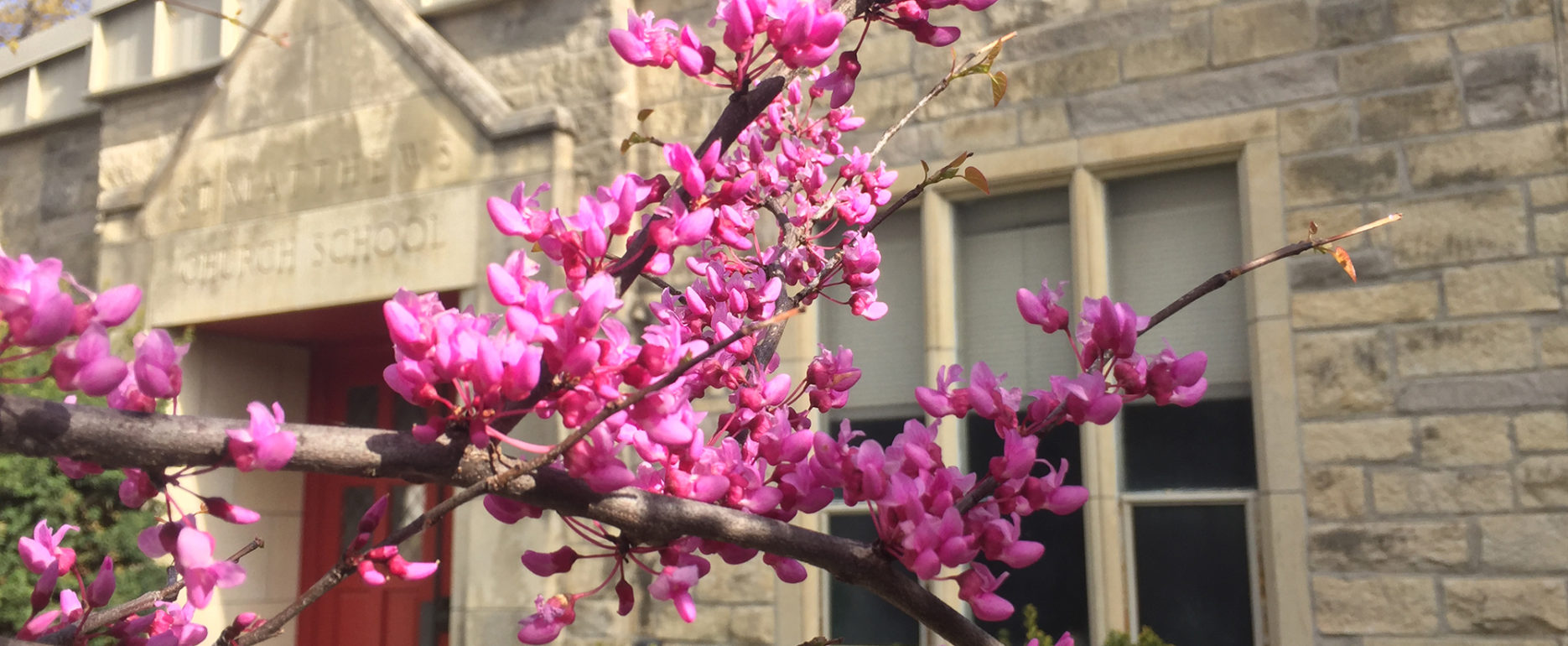St. Matthew's Episcopal Church Capital Campaign in Lincoln, Nebraska.